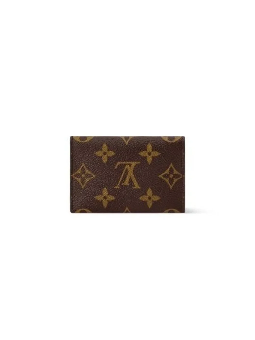 Louis Vuitton authentic louis
