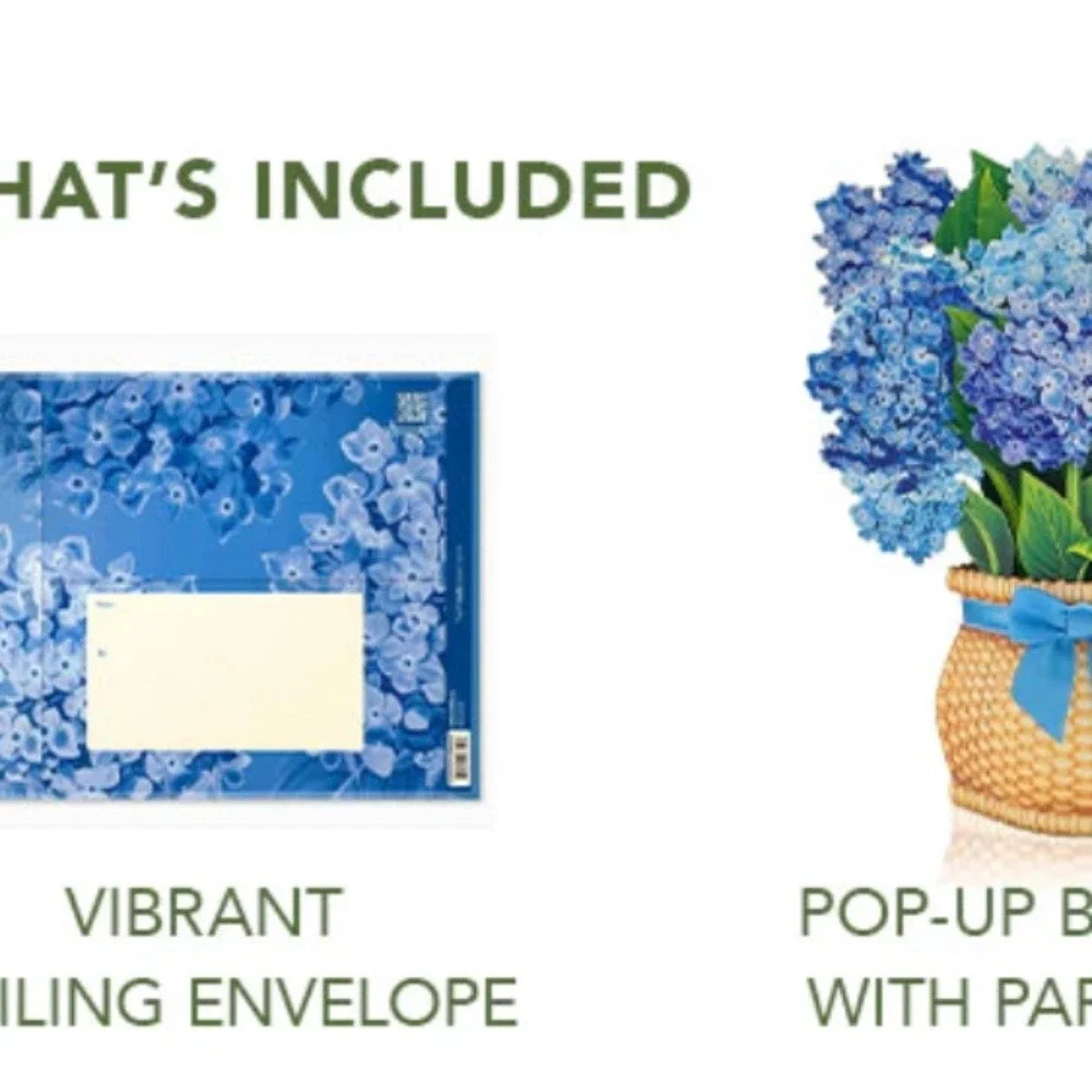 New Hydrangea Freshcut Paper 3D‎ Pop Up Bouquet