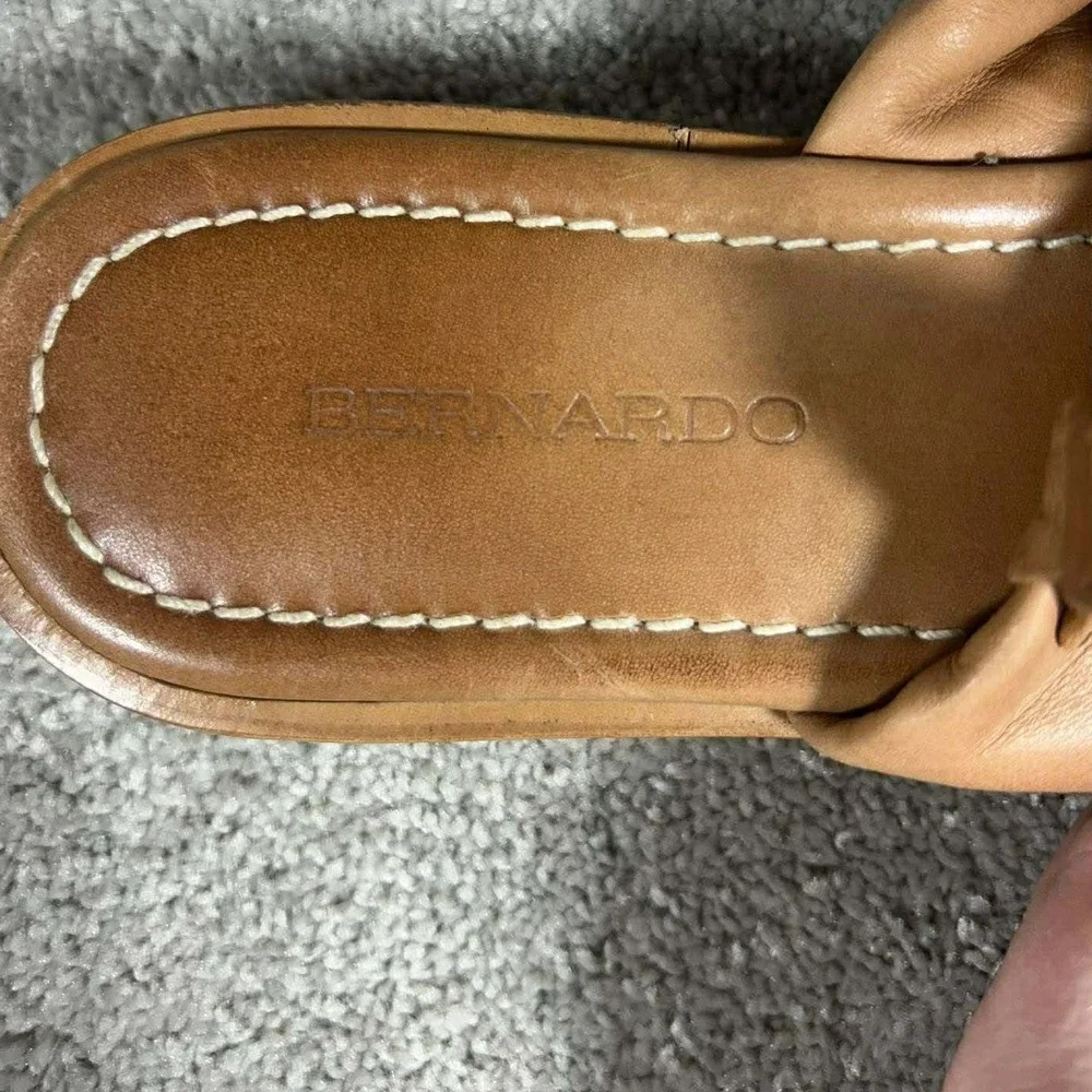 Bernardo great measurements