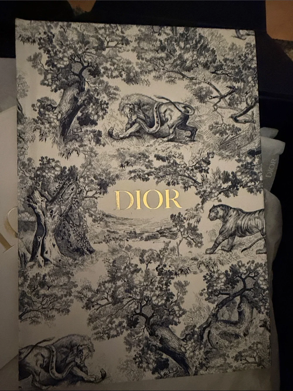Dior luxury notebook