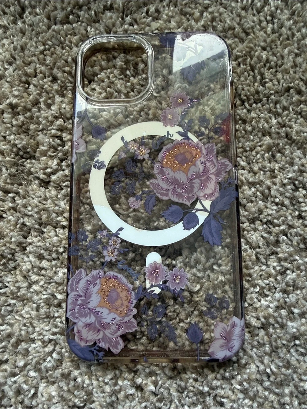 Loopy Case set iphone