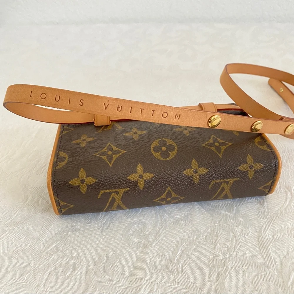 Louis Vuitton monogram coated