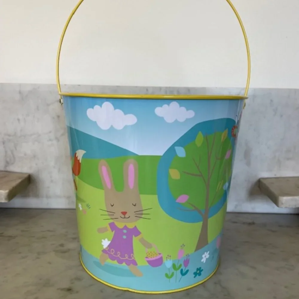 TARGET 11/12 Boy Girl Bunny Egg Hunt Metal Pail