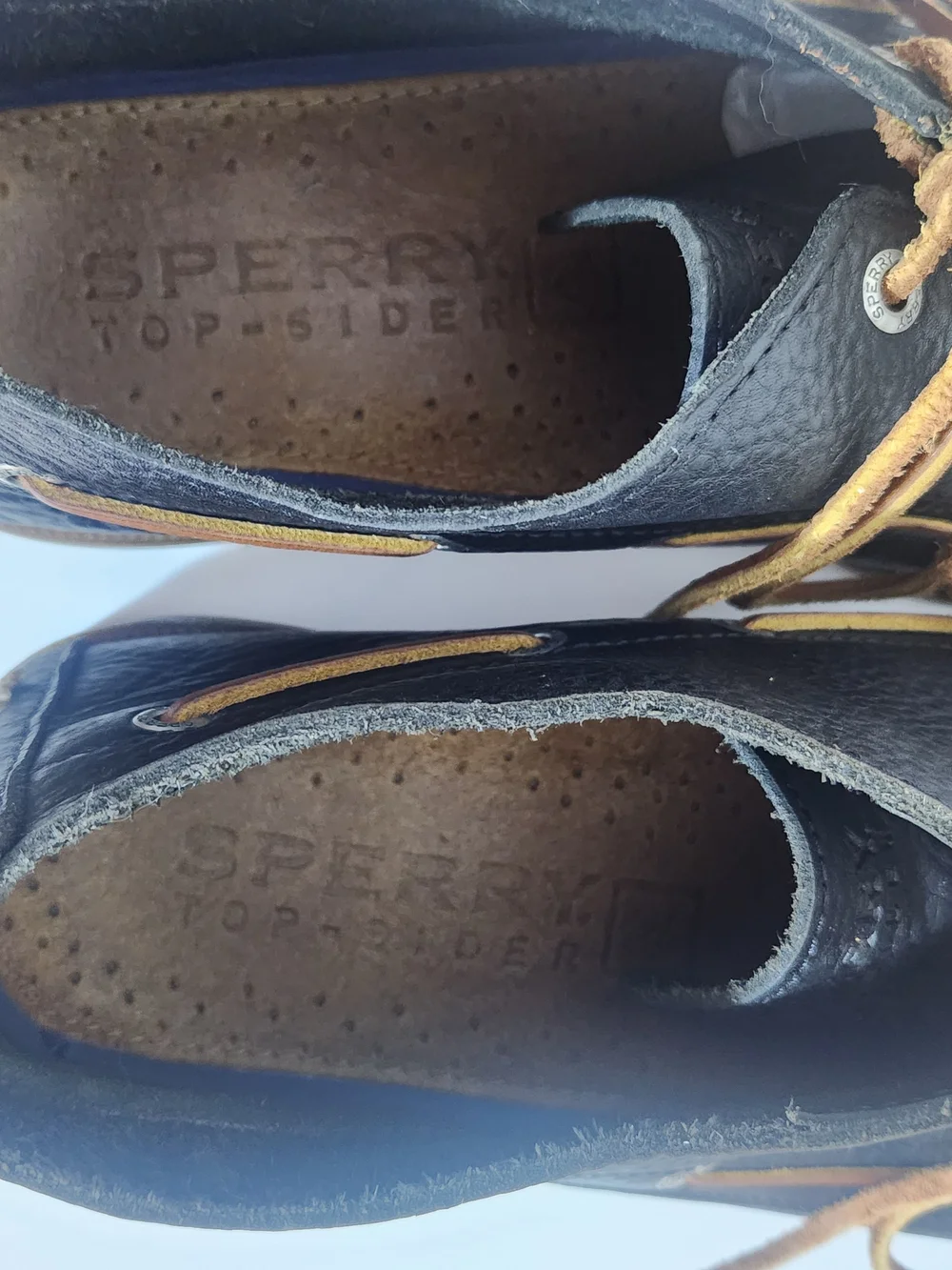 Sperry these chukka
