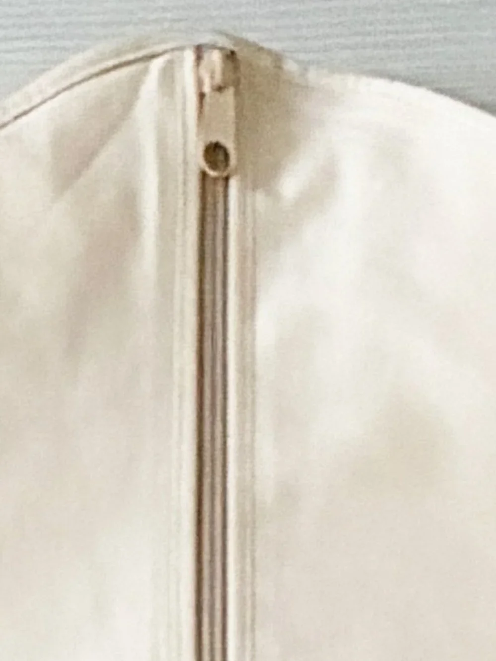 Louis Vuitton authentic louis