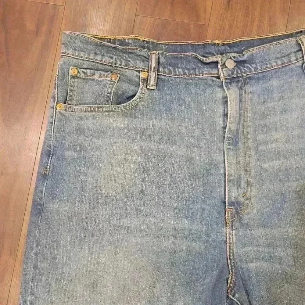 Levis levis 569