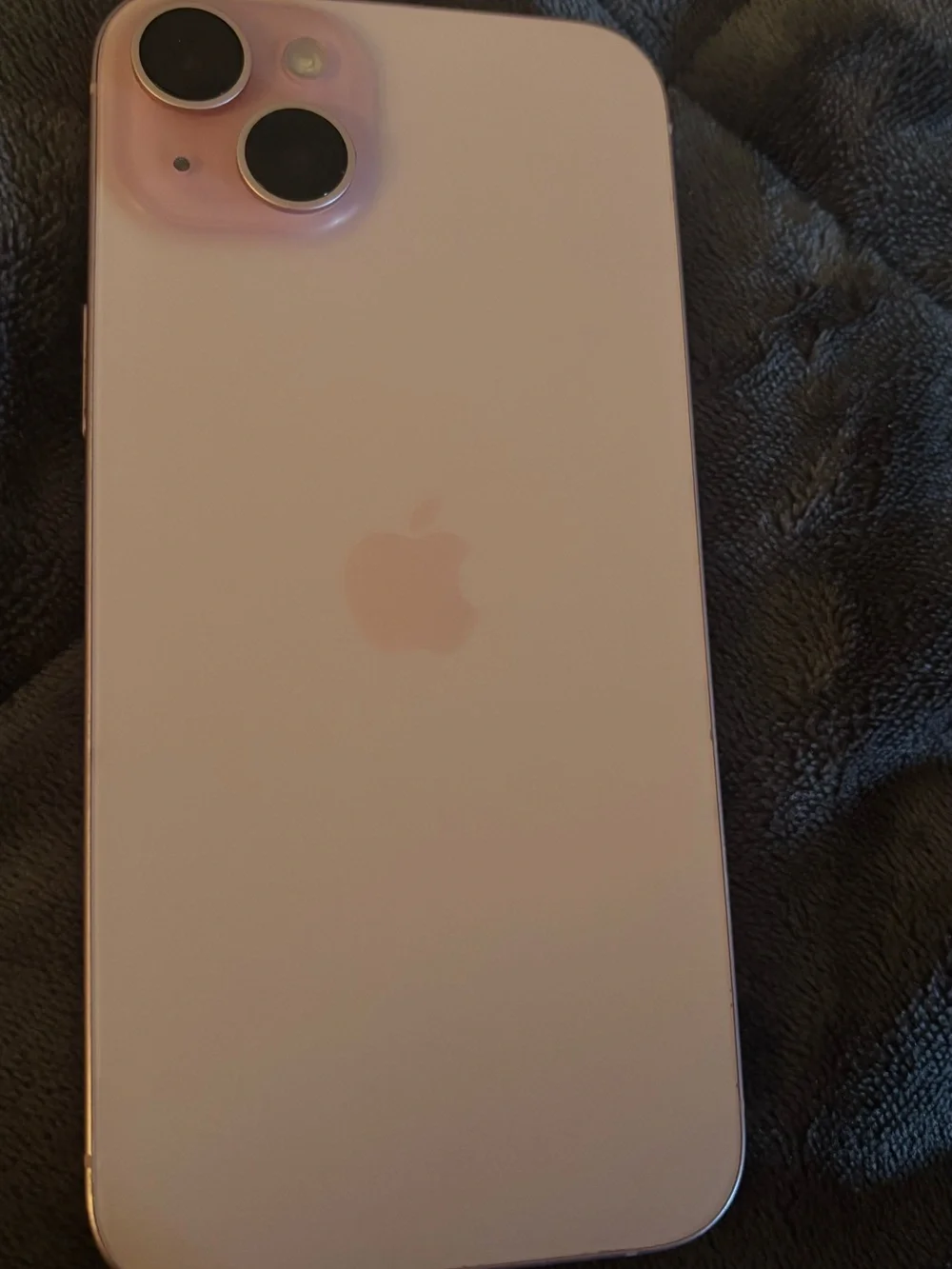 Apple iPhone Pink Dual-Camera Back
