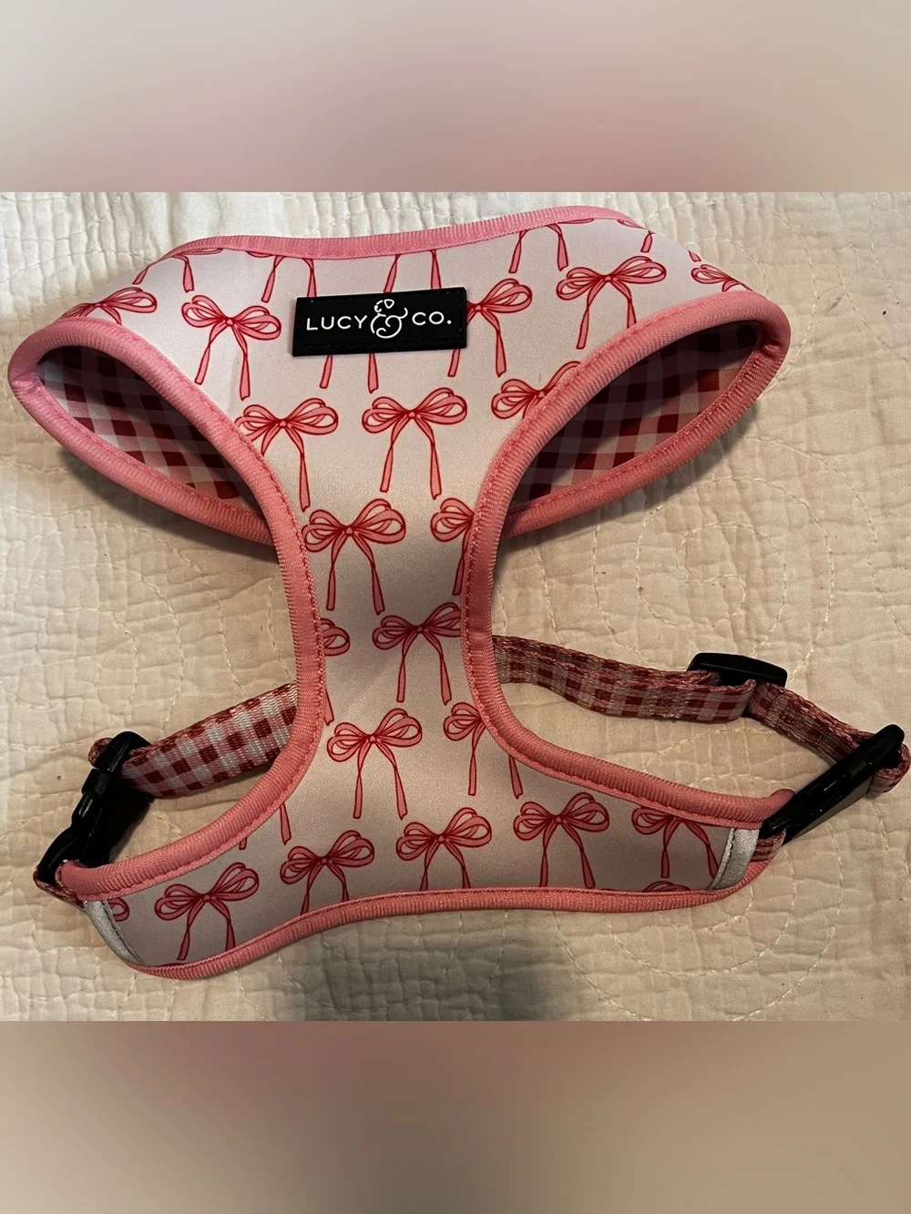 Lucy & Co. straps design