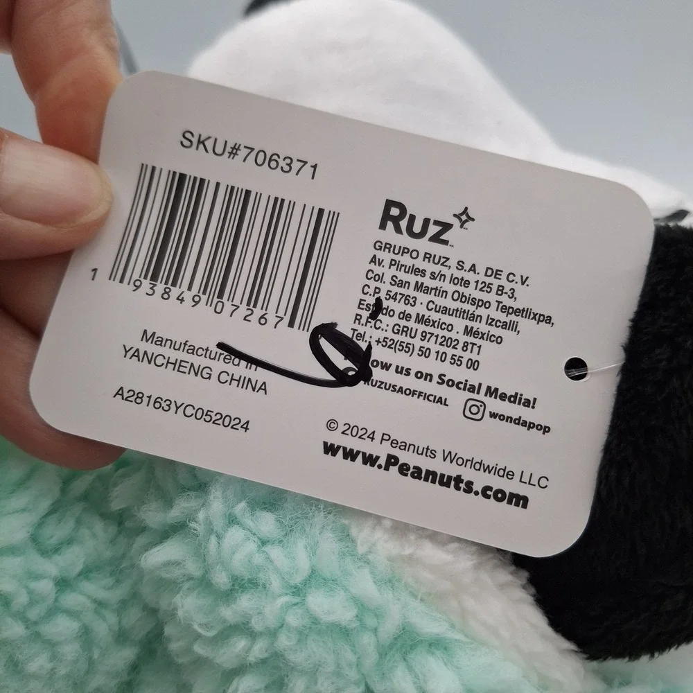 Peanuts winter snoopy