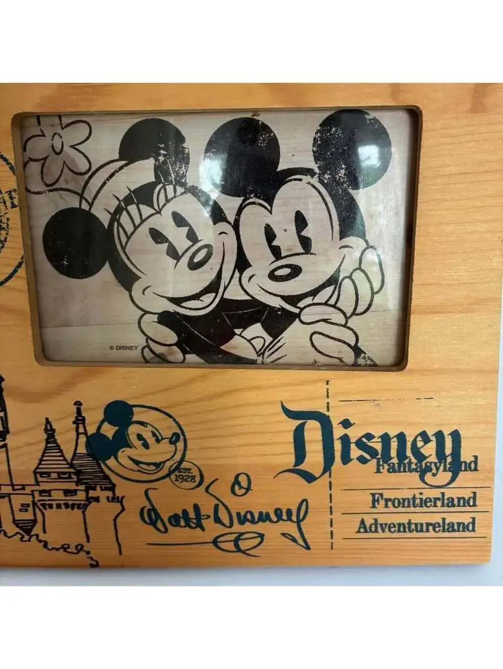 Disney bring home