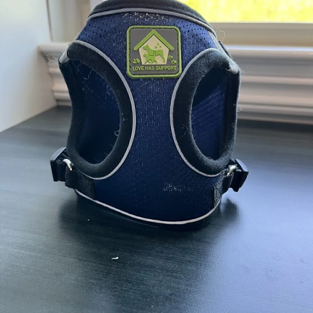 N/A mesh dog