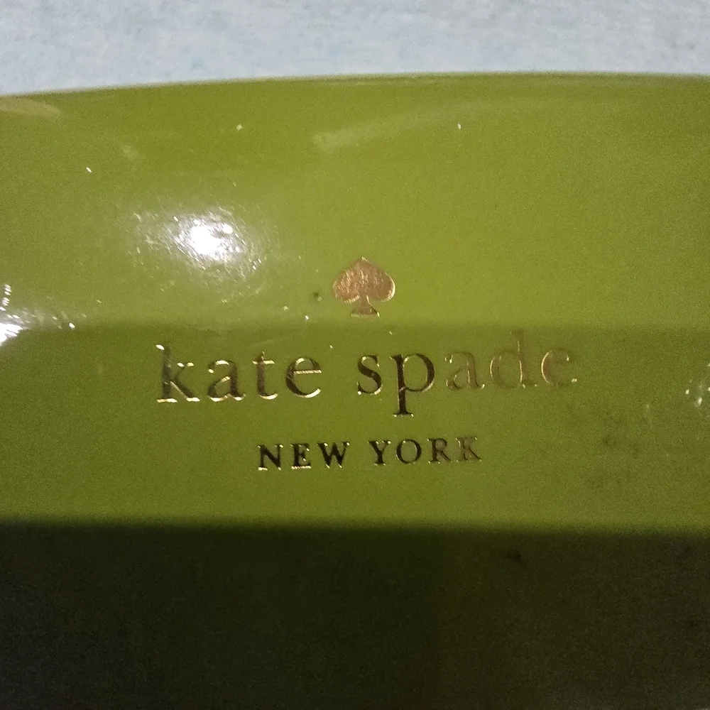 Kate Spade New York Green & Blue Hard Shell Eyeglass Case Logo  W/ New Cloth