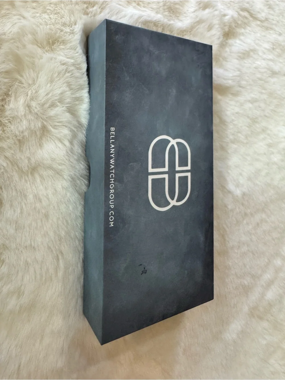 Bellany watch silver