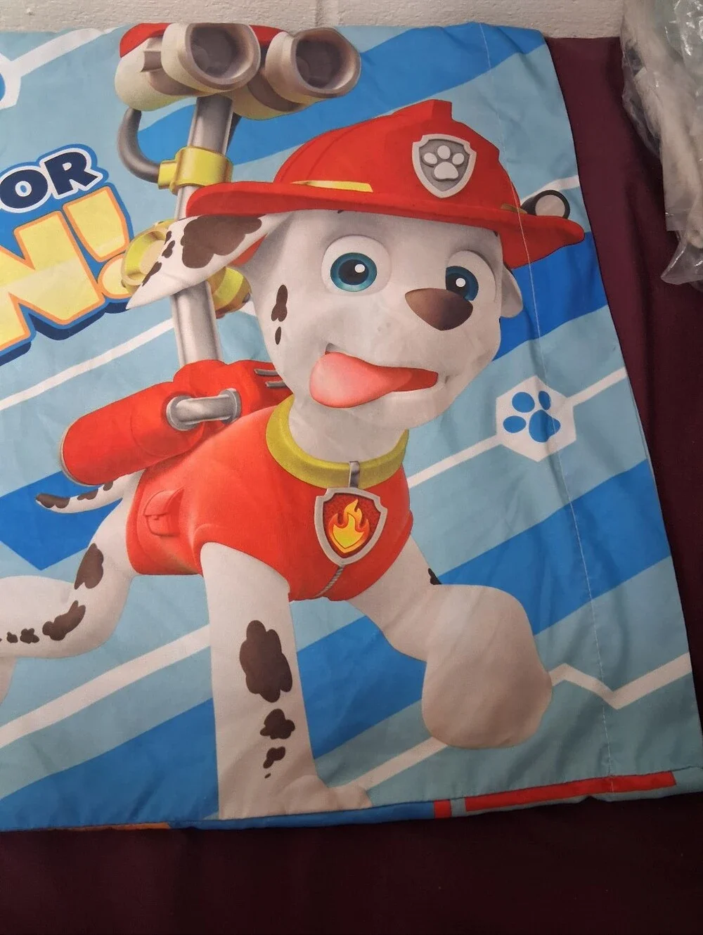 Nickelodeon this super