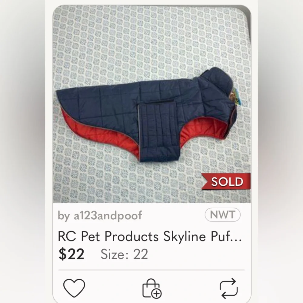RC Pets rc pets