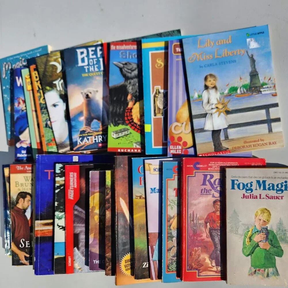 Scholastic book bundle