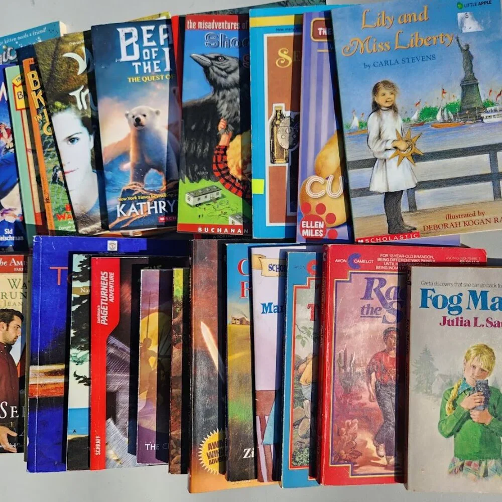 Scholastic book bundle