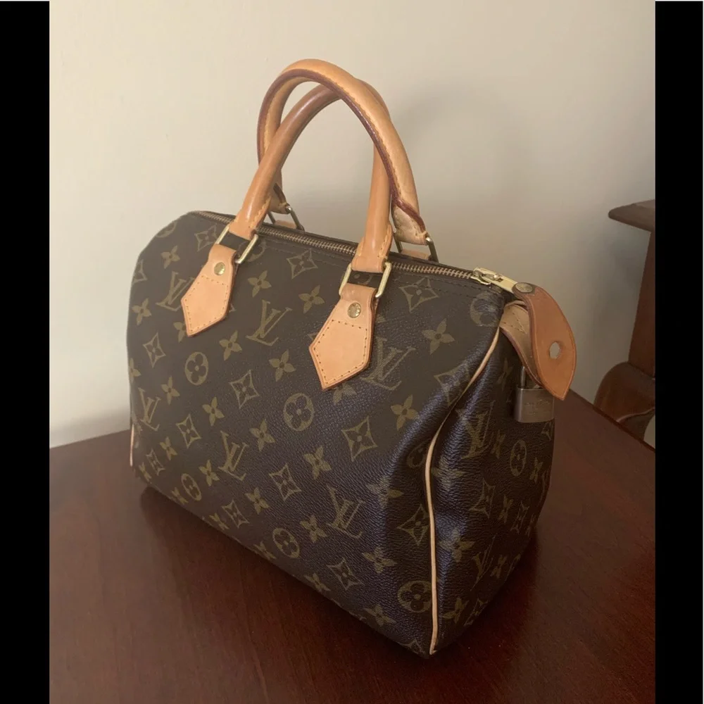 Louis Vuitton structured louis monogram