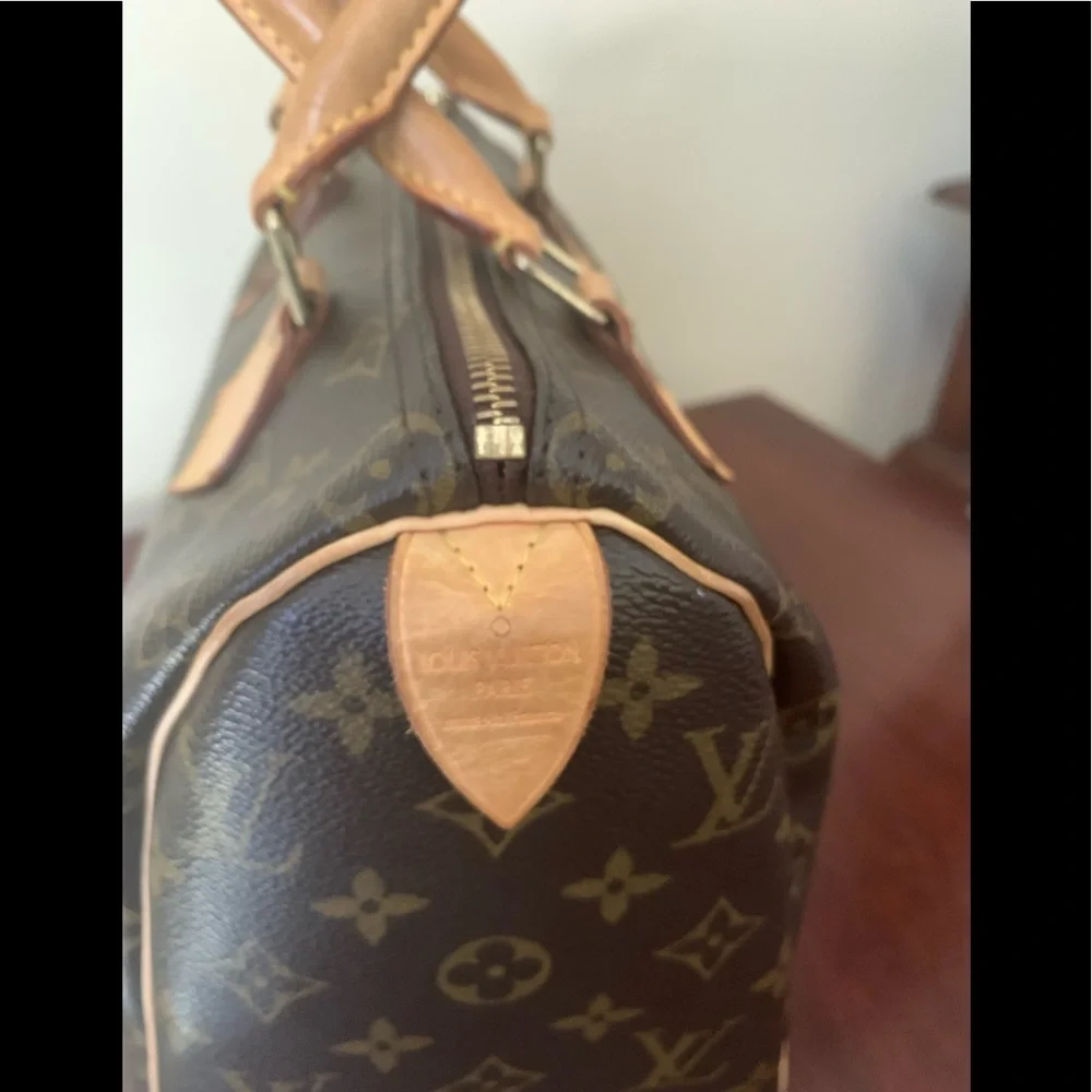 Louis Vuitton canvas louis