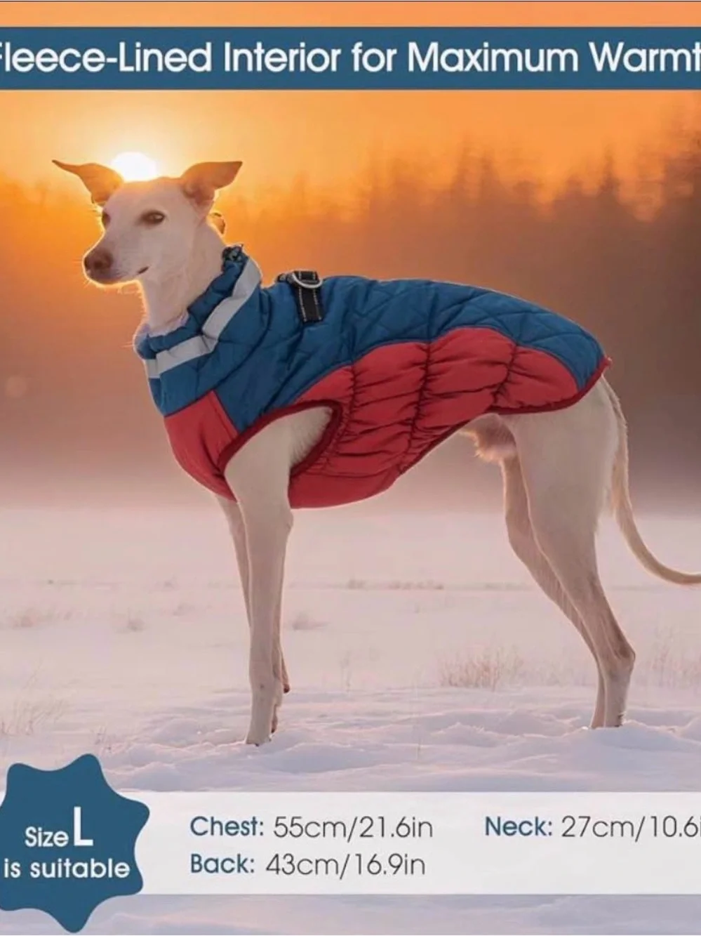 Dog Quilted Winter Coat - Blue and Red