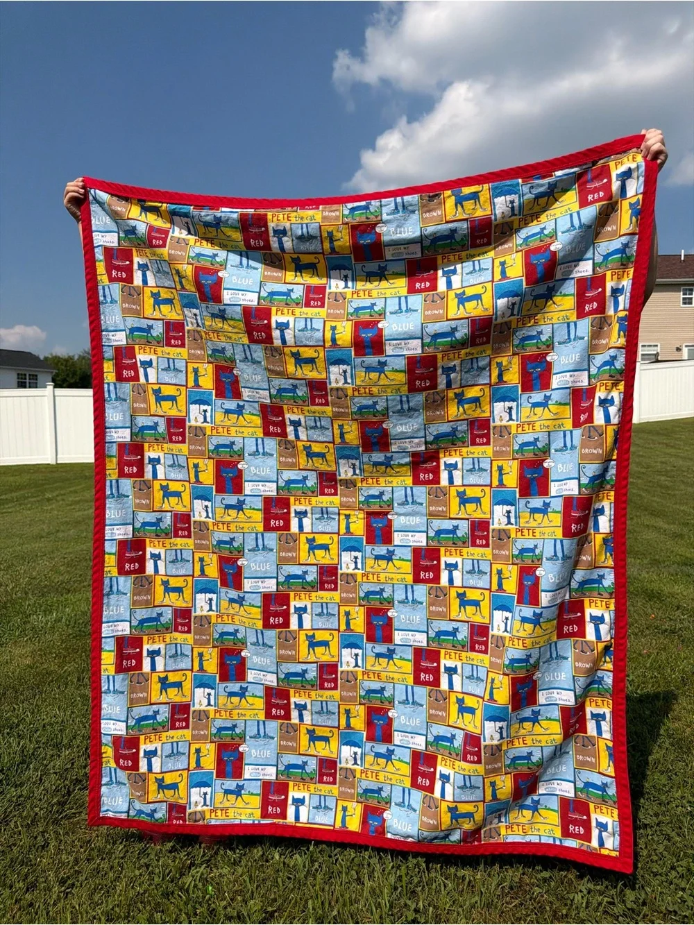 N/A pete cat