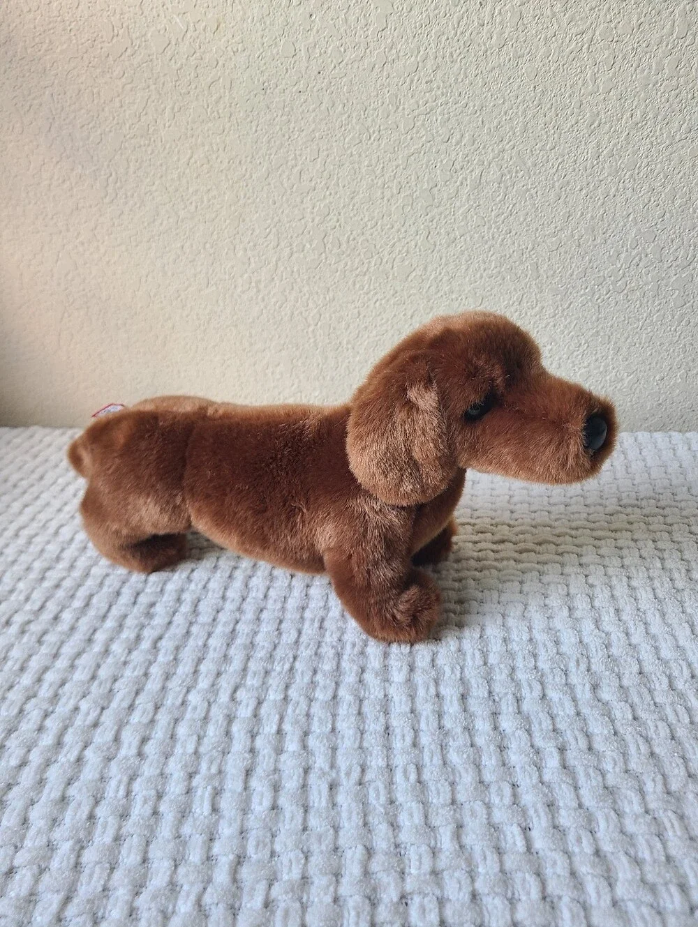 Douglas dilly dachshund