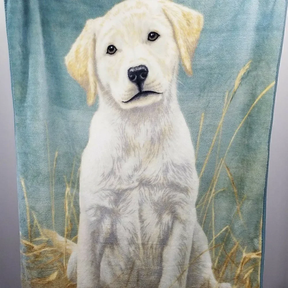 The Northwest Co yellow labrador