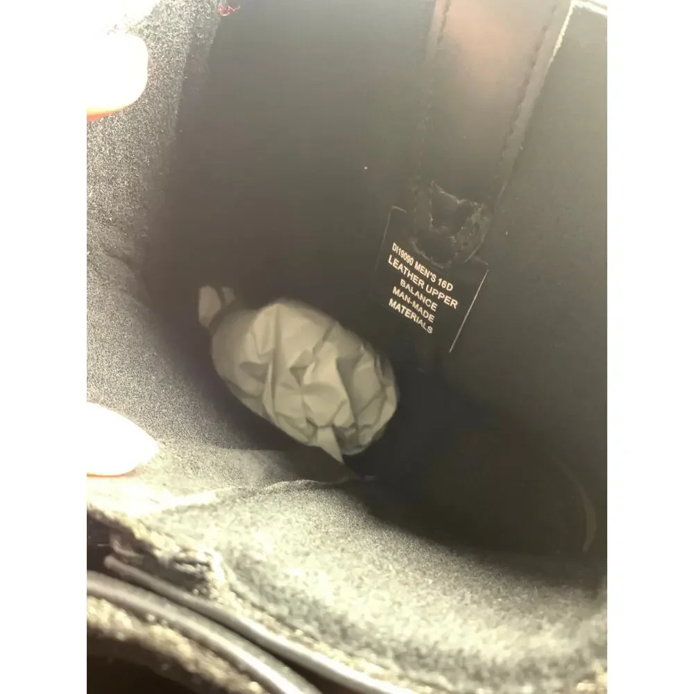 dingo new box