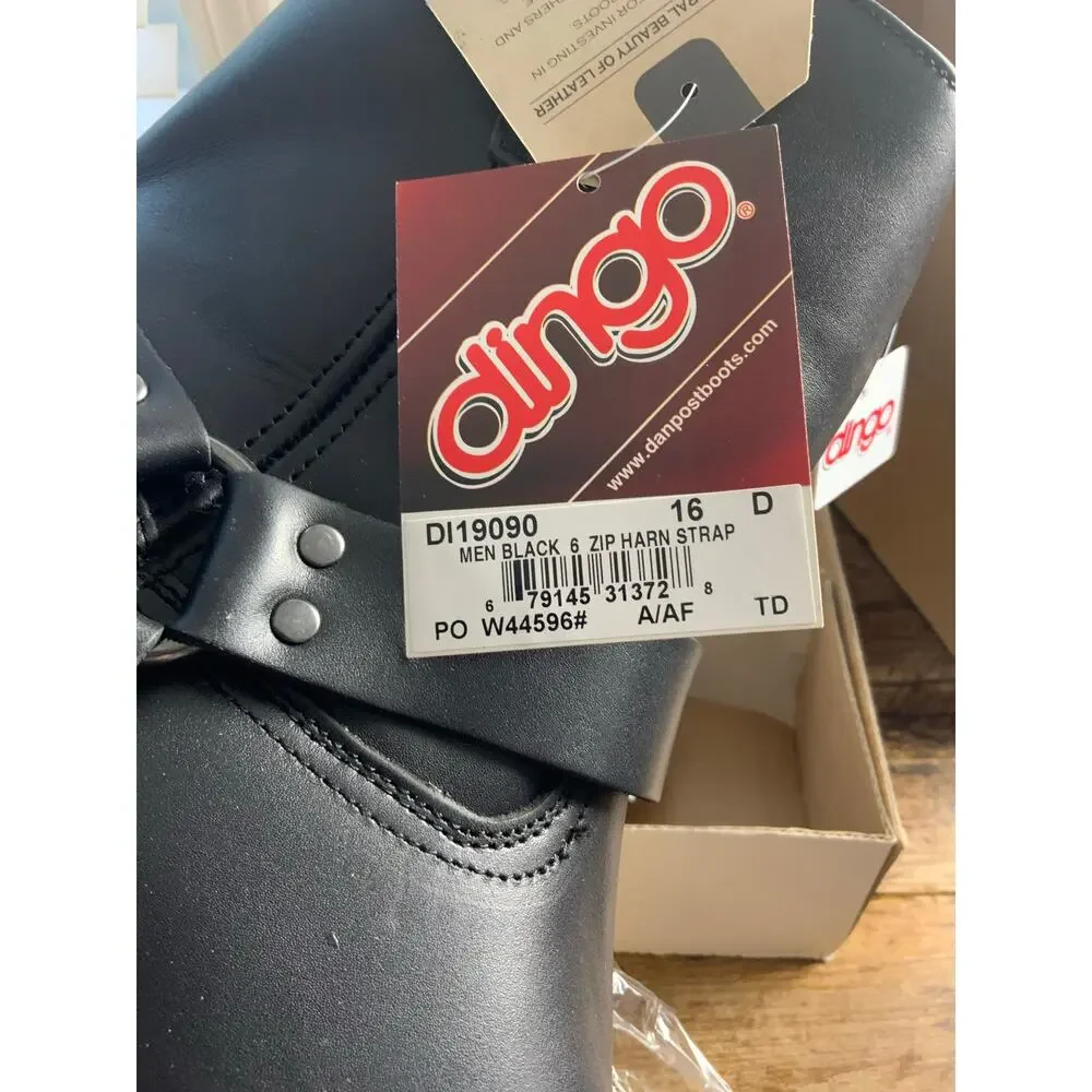 dingo new box