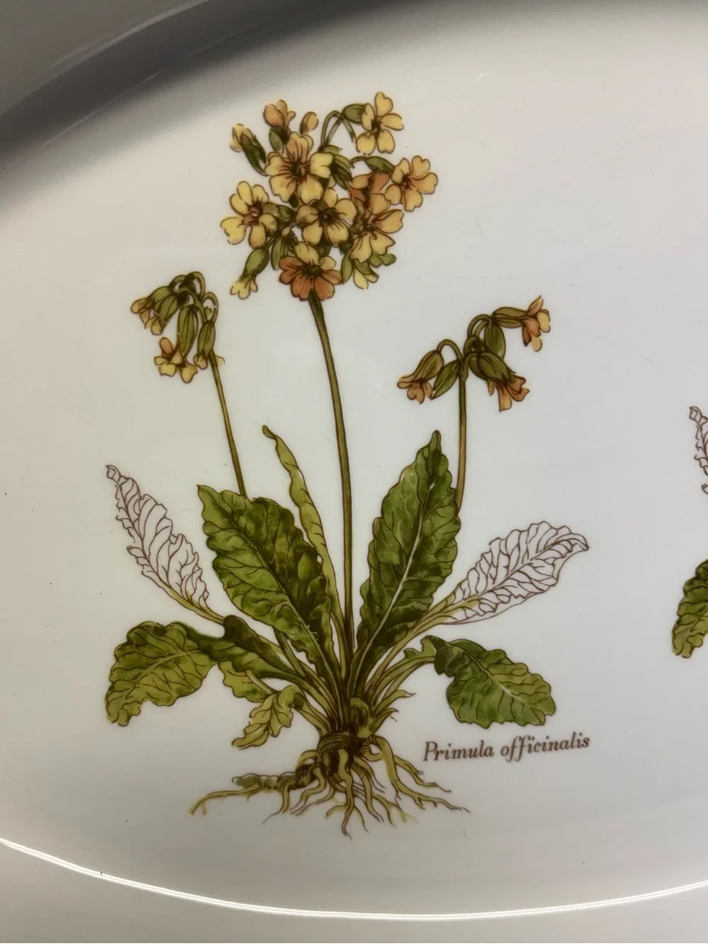 Portmeirion floral oval