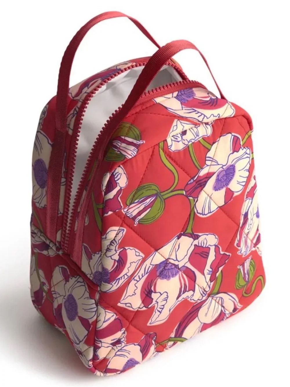 Vera Bradley lunch bag