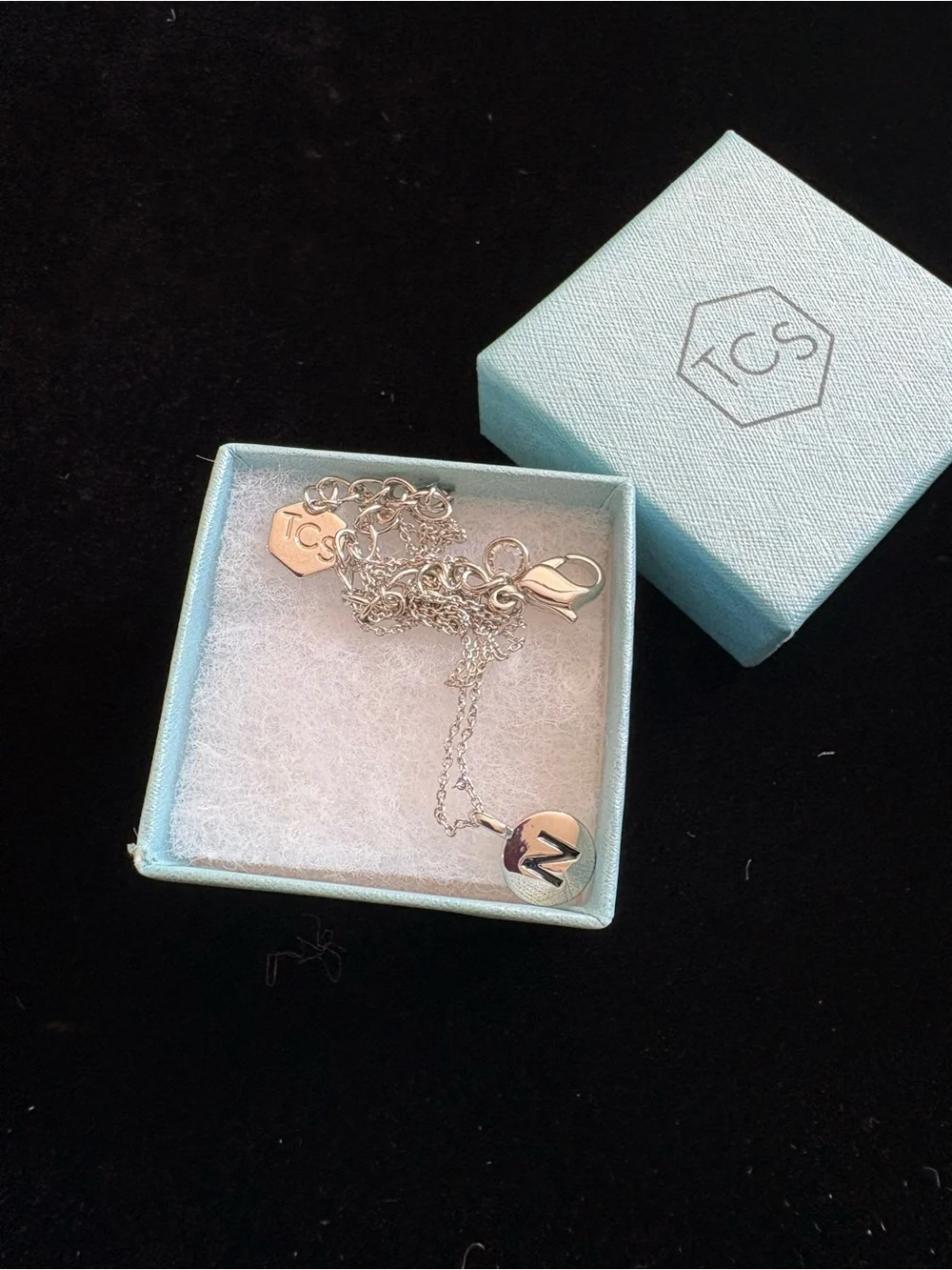 Touchstone Crystal Silver N necklace