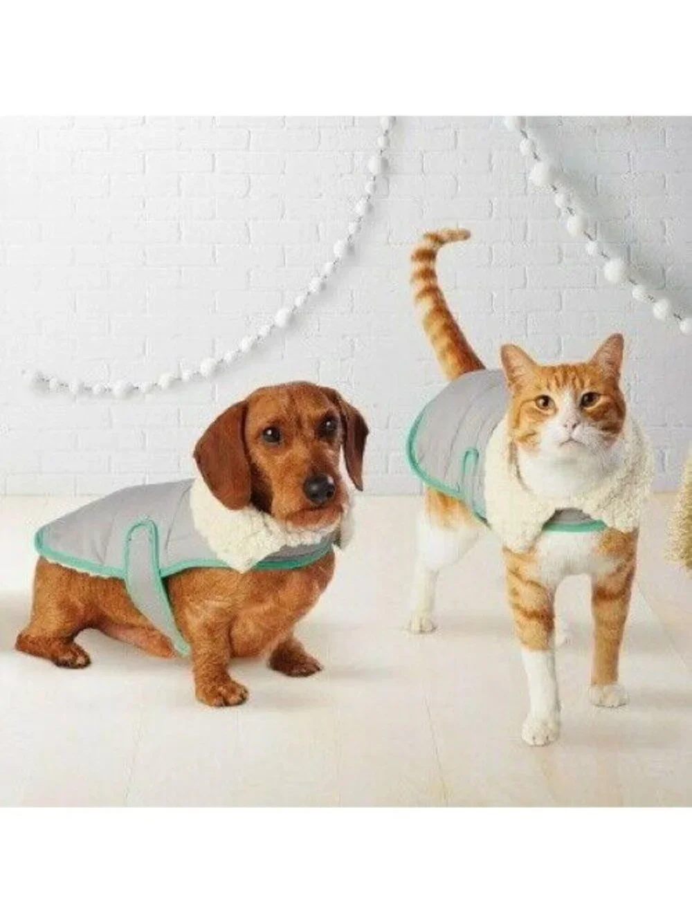 Wondershop pet sherpa