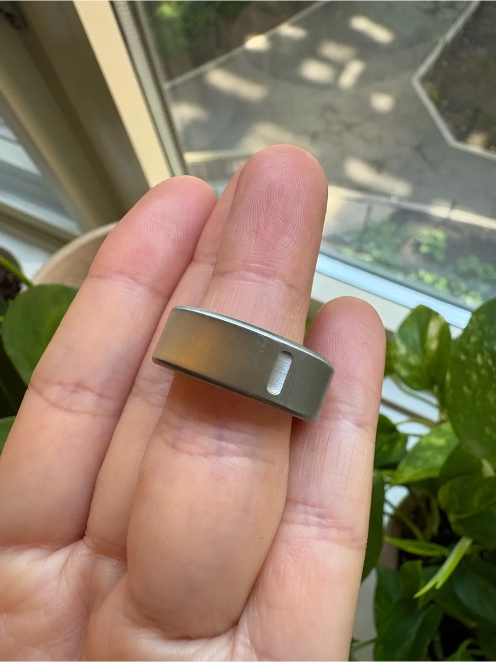 Oura worn months