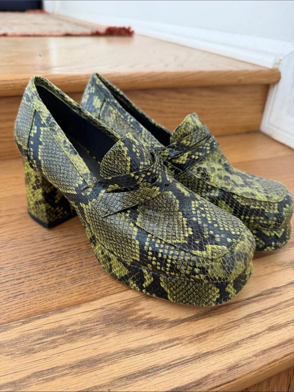 N/A bold snake