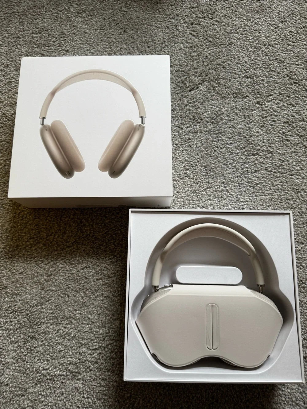 Apple pristine starlight