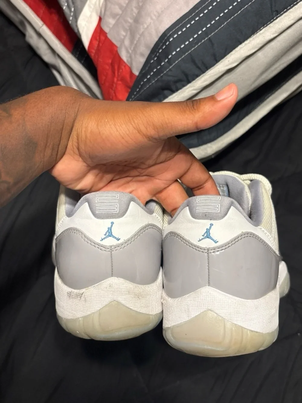 Jordan 11 wolf