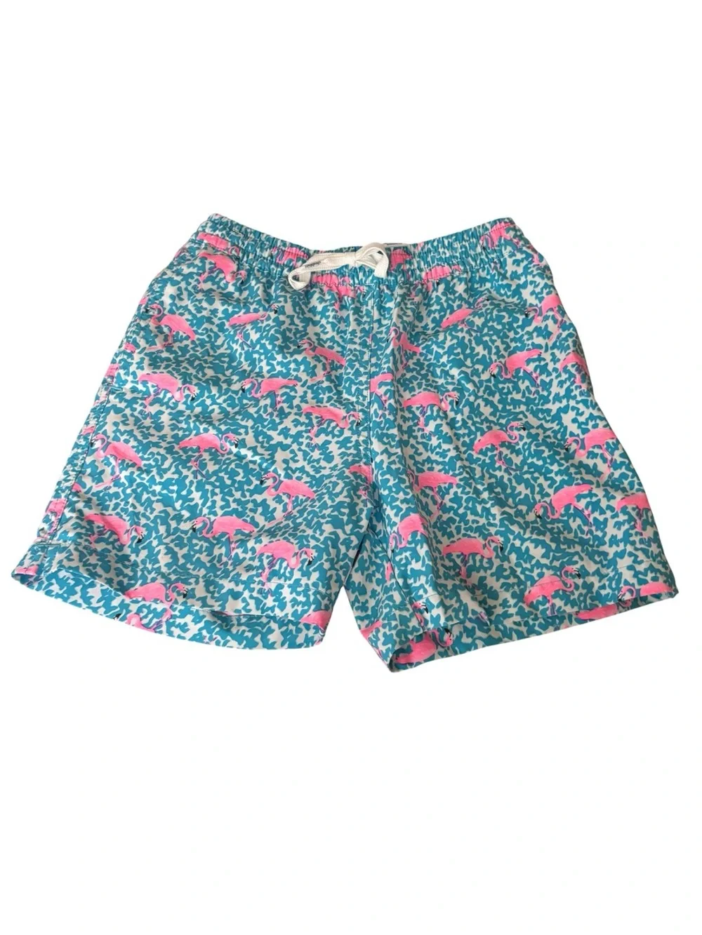 chubbies fun colorful