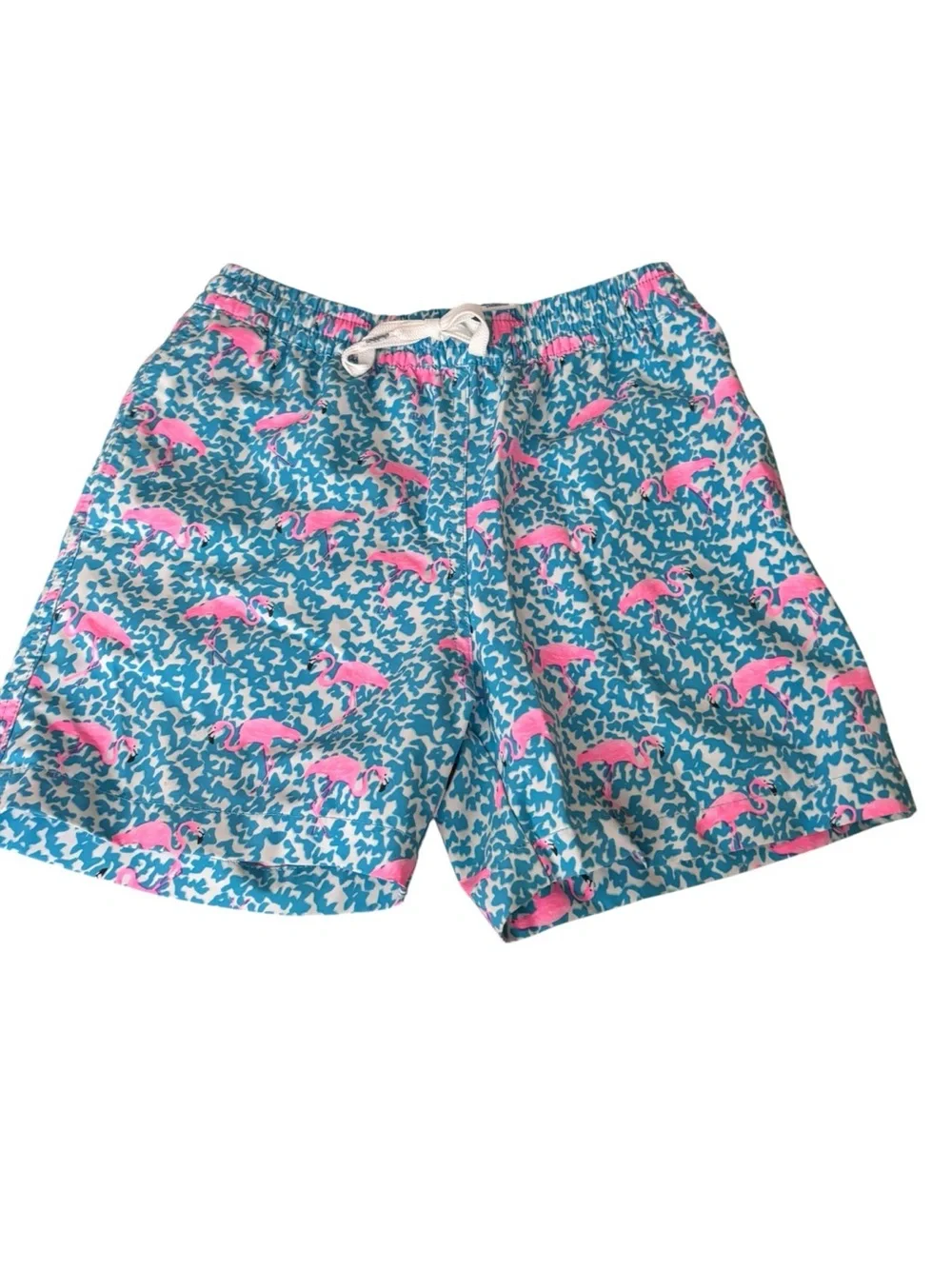 chubbies fun colorful