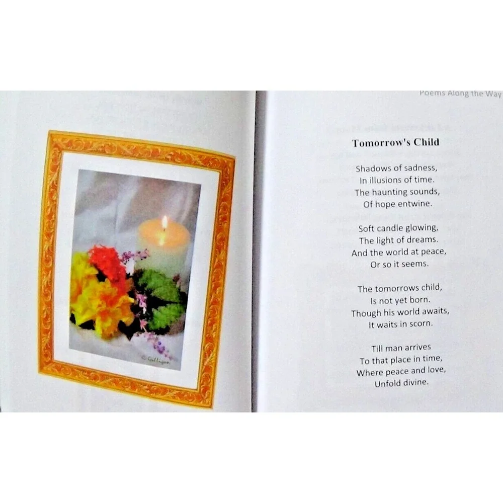N/A paperback 315