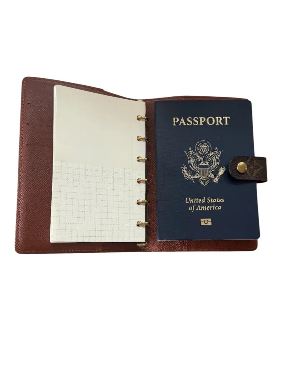 Louis Vuitton authentic louis