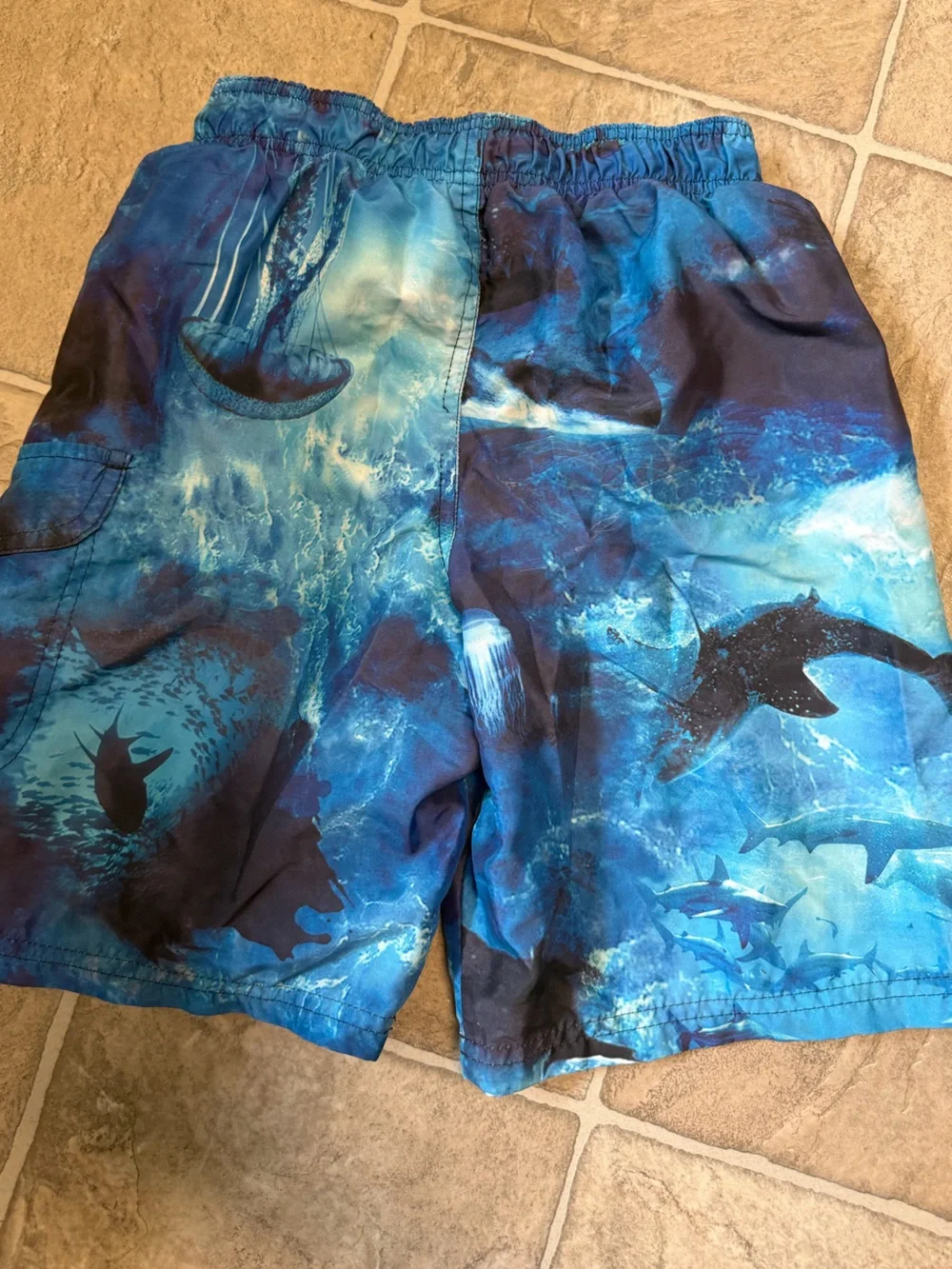 OP bold blue