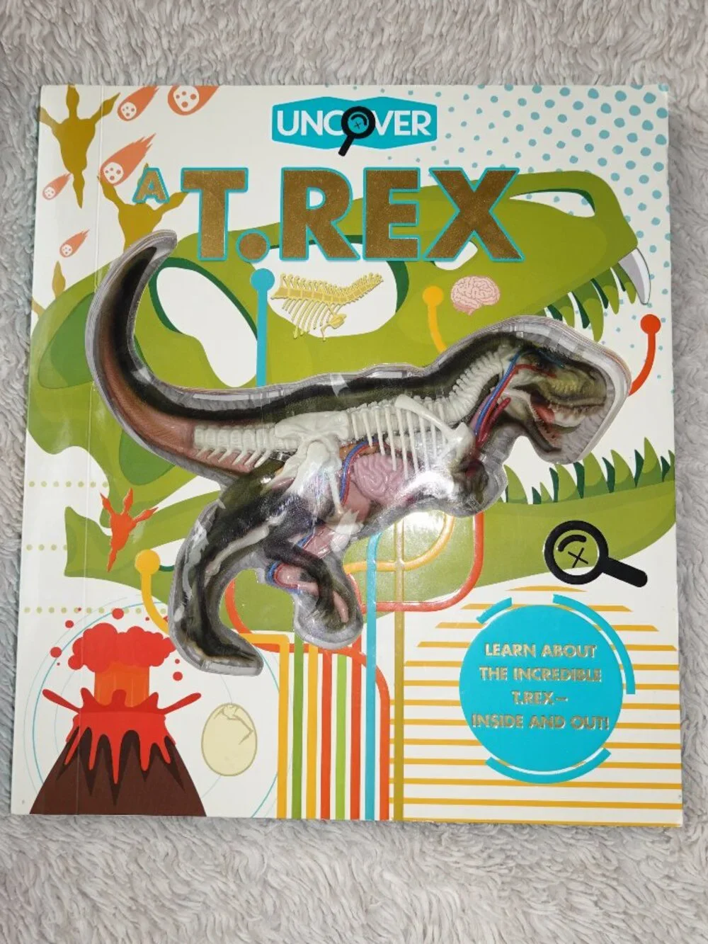 Silver Dolphin uncover rex