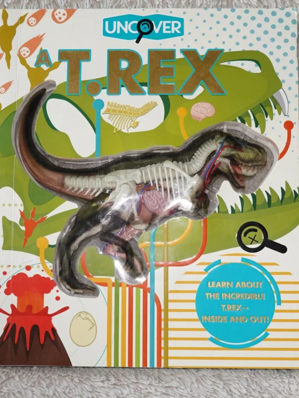 Silver Dolphin uncover rex