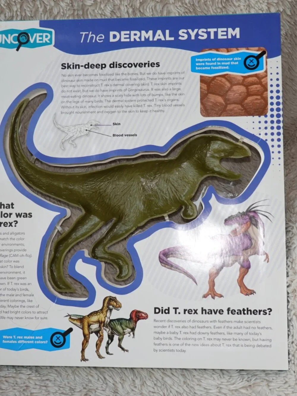 Silver Dolphin uncover rex