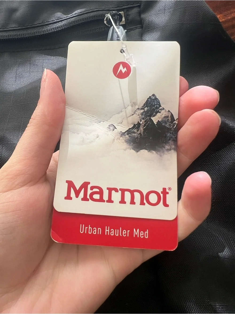 Marmot age old