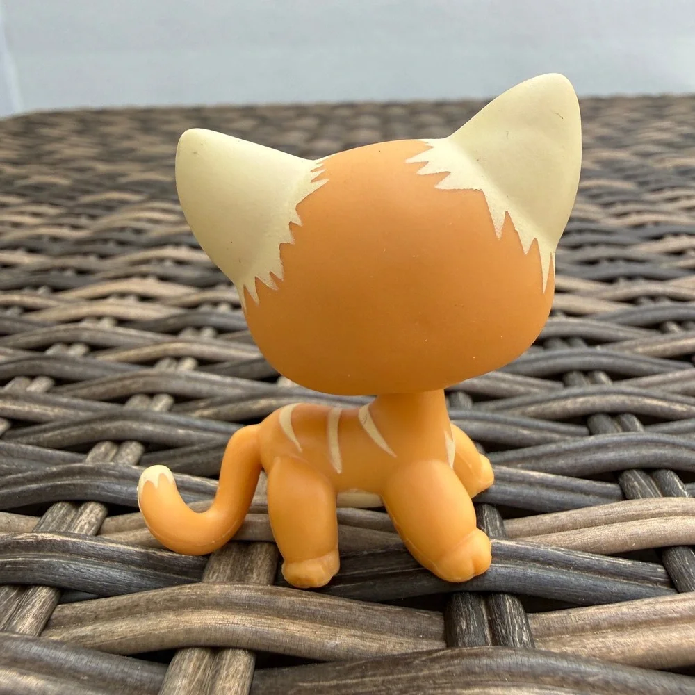 Hasbro wear review lps