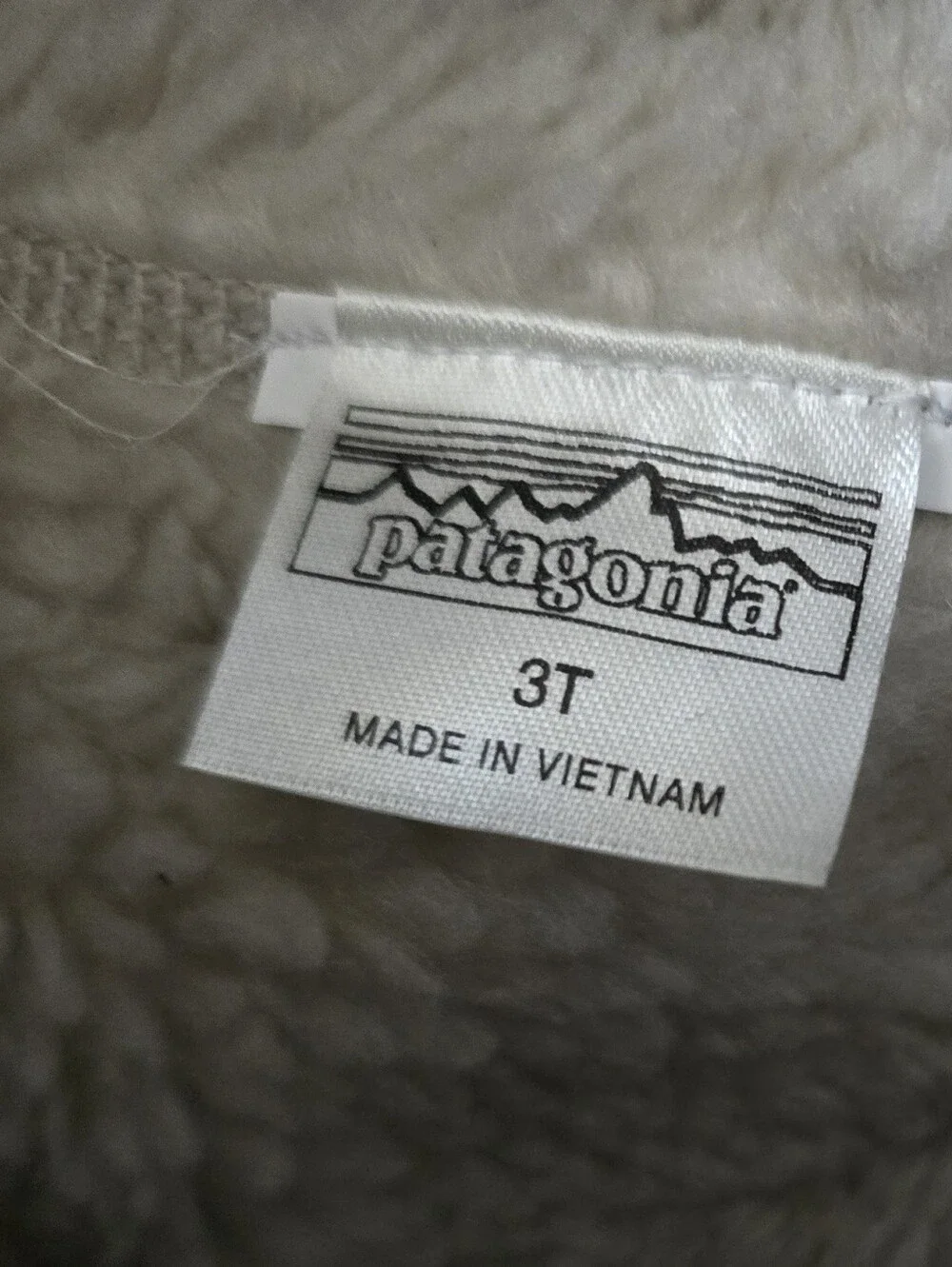 Patagonia insulated kids