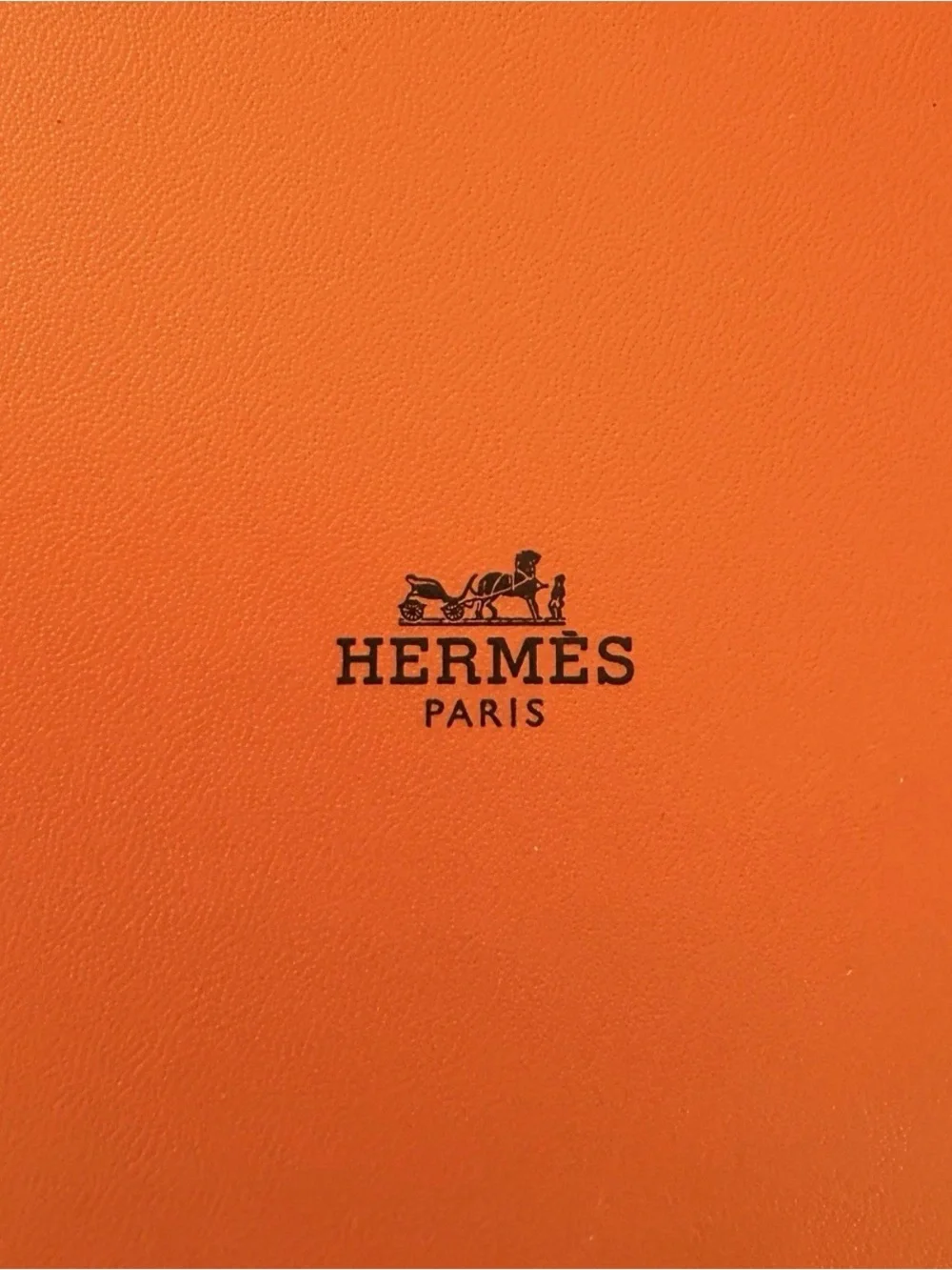 Hermes case metal
