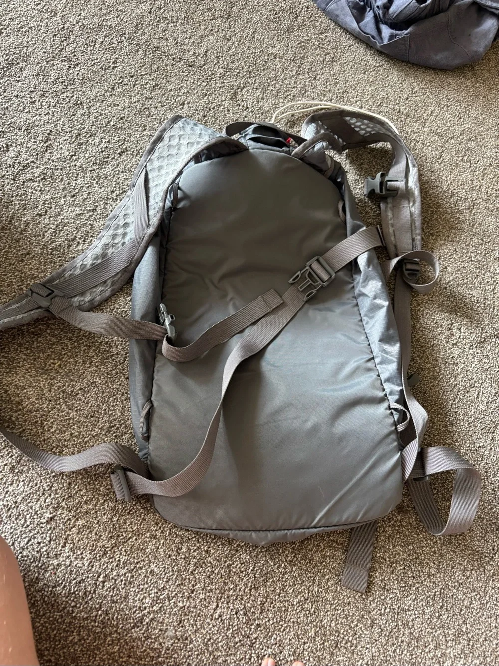 REI Flash 18 pack